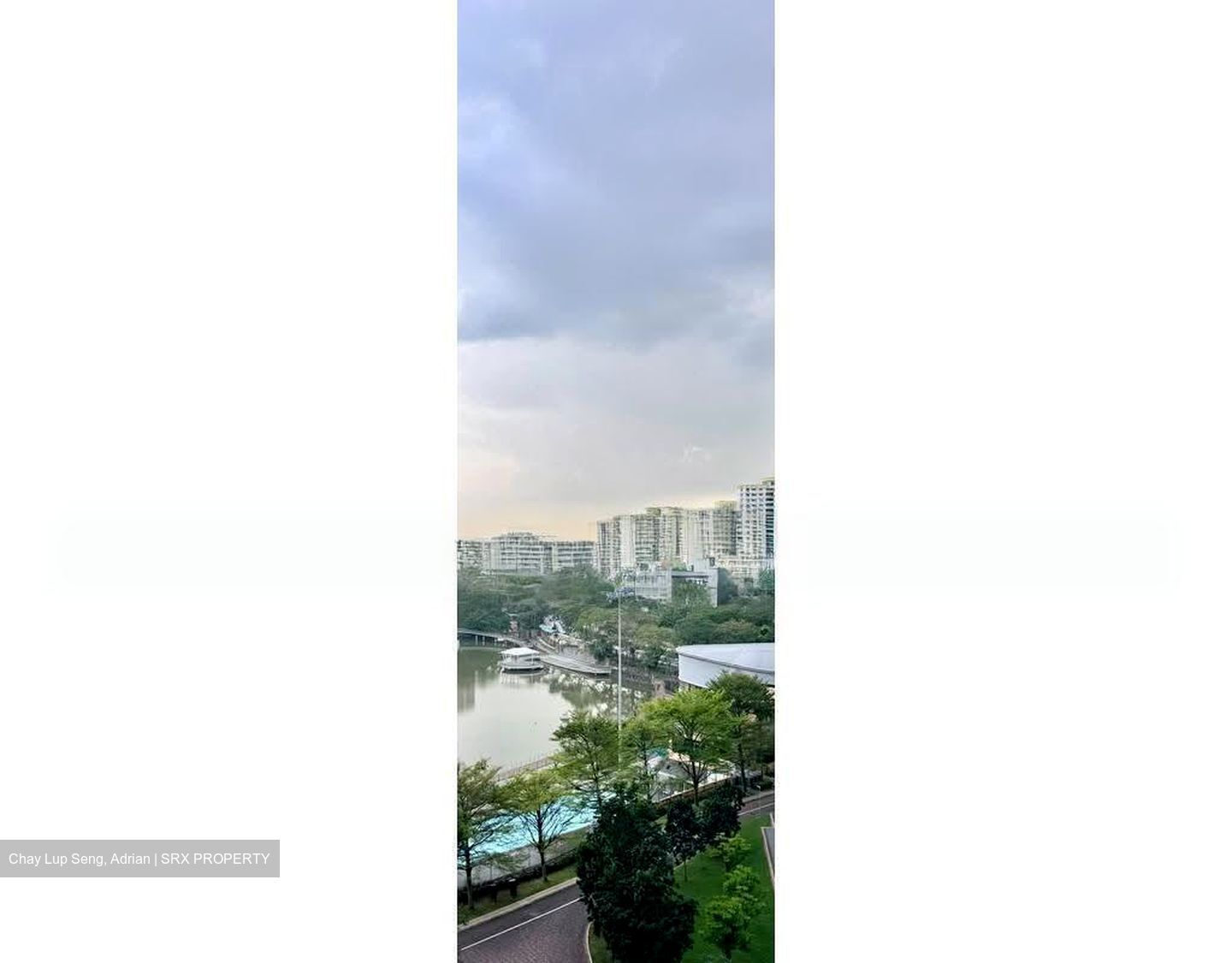Blk 542 Panshan Grove (Bukit Panjang), HDB Executive #627491141